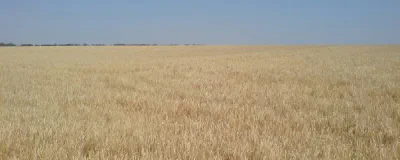 Лопатина