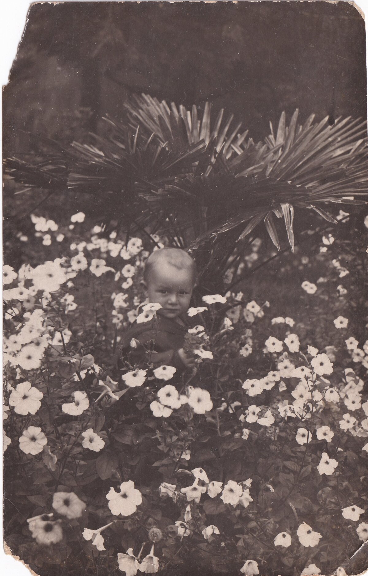 Козаев З. З. - Фото 13