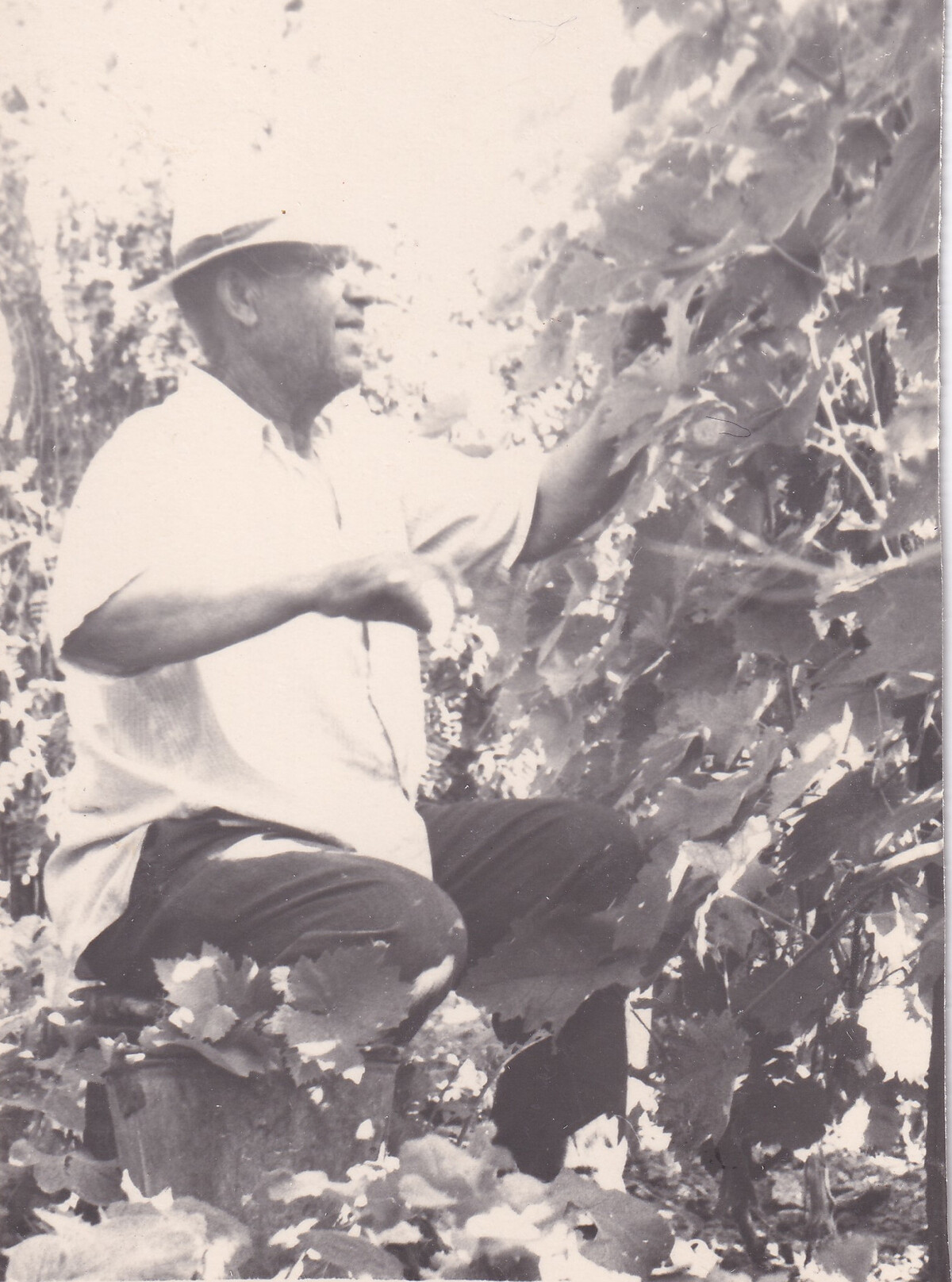 Яценко С. К. - Фото 03